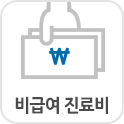 비급여 진료비